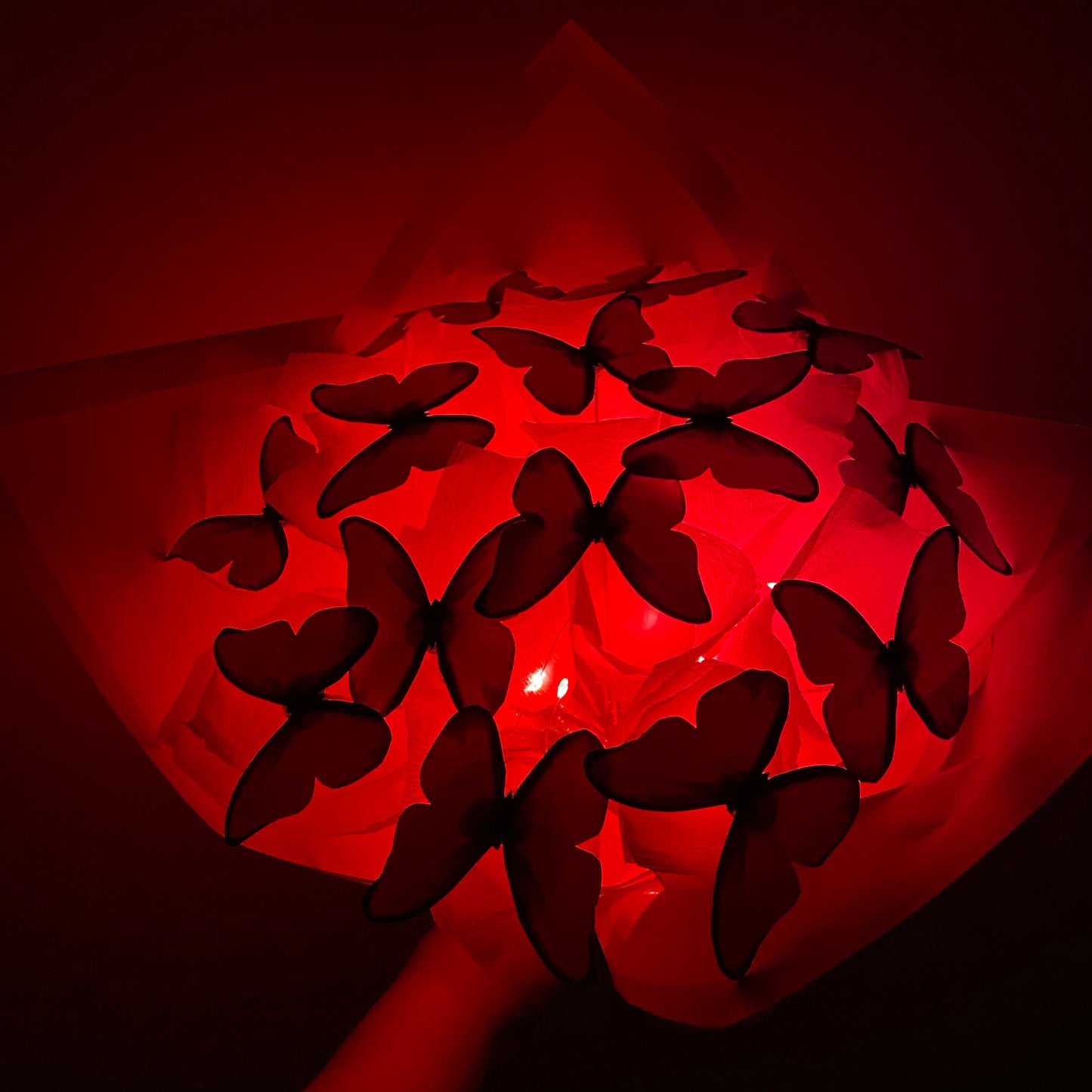 Işıklı Kelebek Bukteti