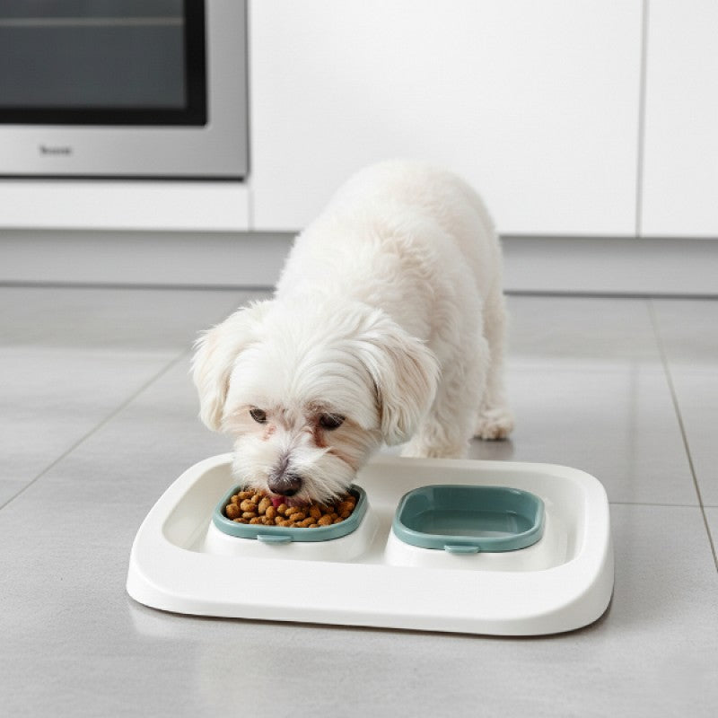 2'si 1 Arada Mama Ve Su Kabı