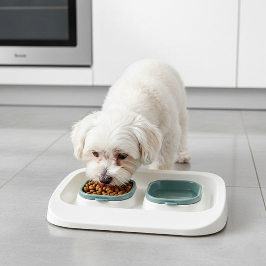 2'si 1 Arada Mama Ve Su Kabı